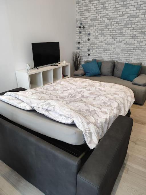 קמברה Grand Volume Calme Centre-Ville Tan1 מראה חיצוני תמונה